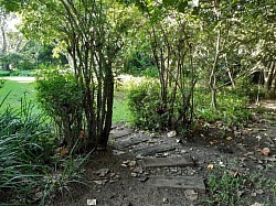 Nature walk