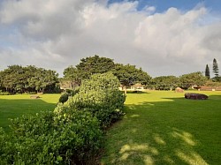Outdoor