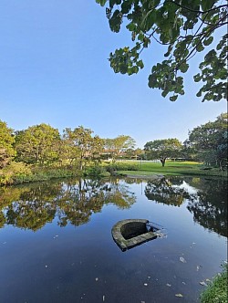 Pond
