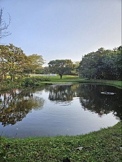 Pond